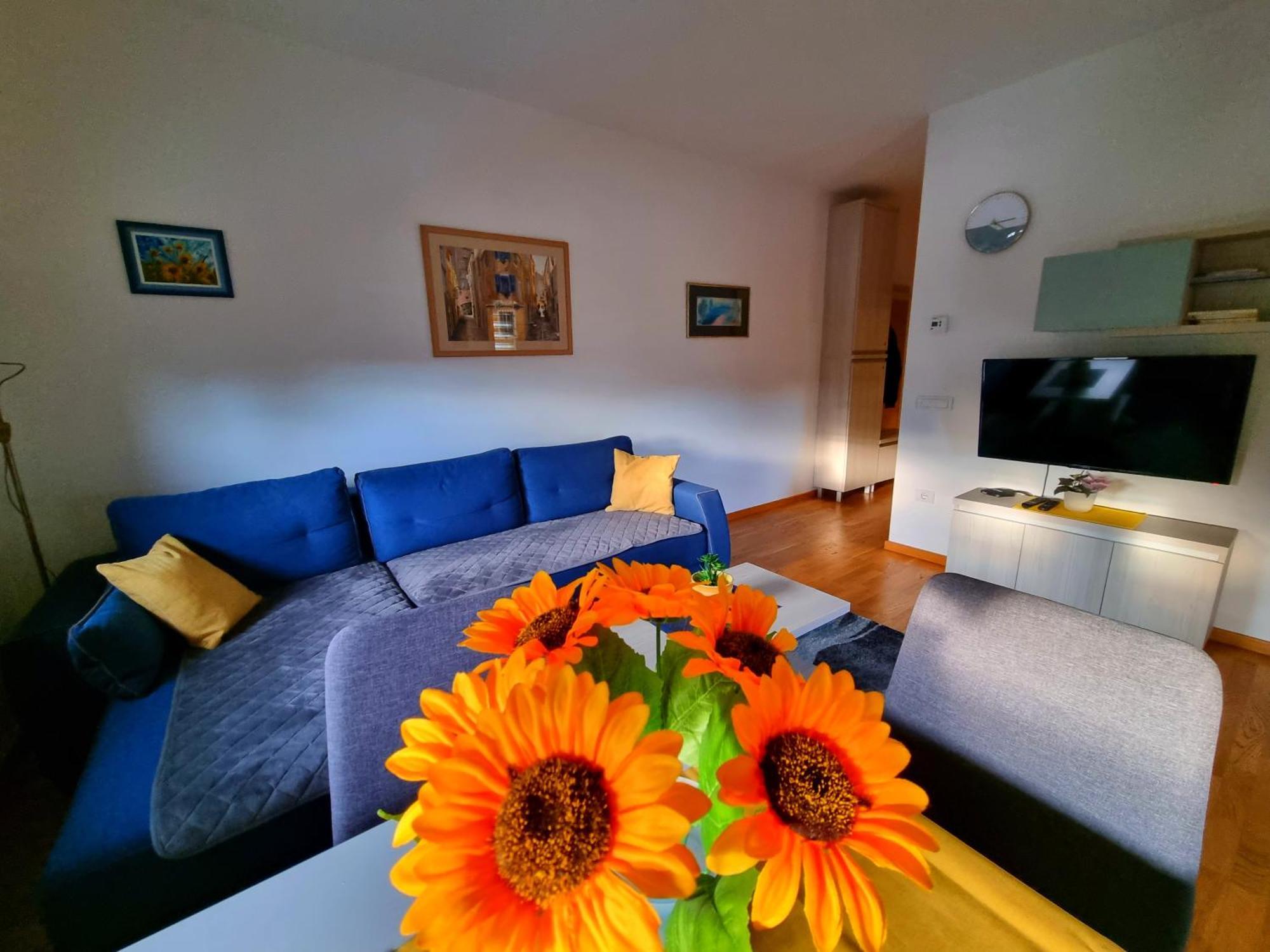 Apartman Neoplanta * Zlatibor